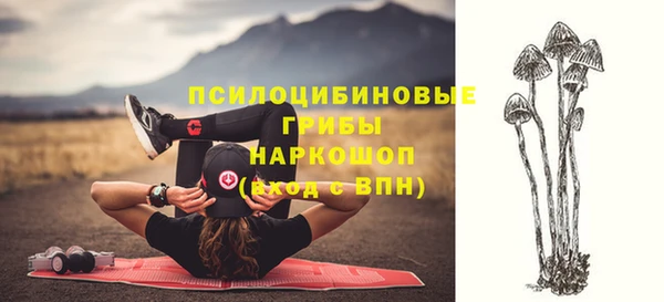 дживик Новокубанск