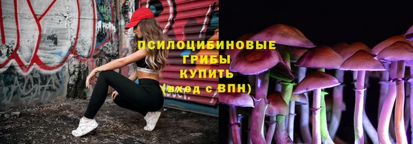 дмт Няндома